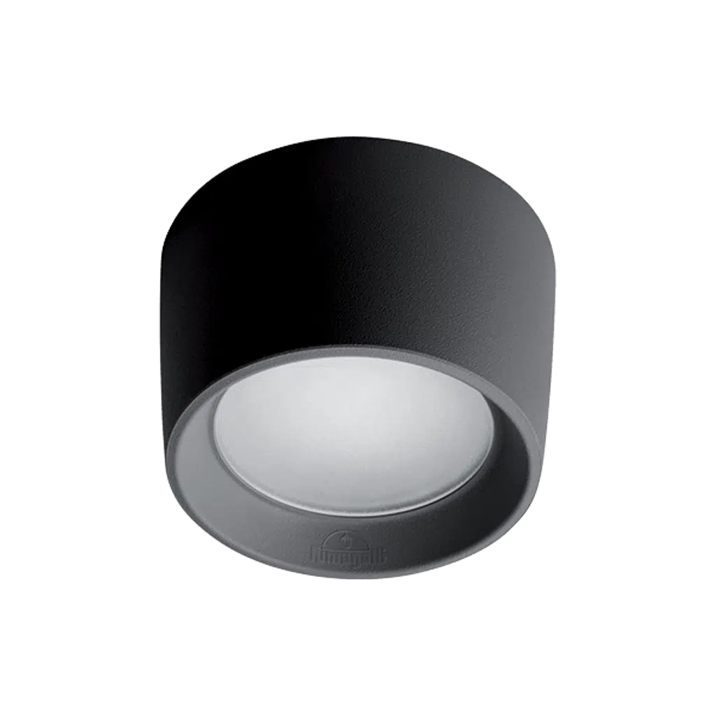 LIVIA 160 BLACK FROSTED GX53 LED 10W CCT