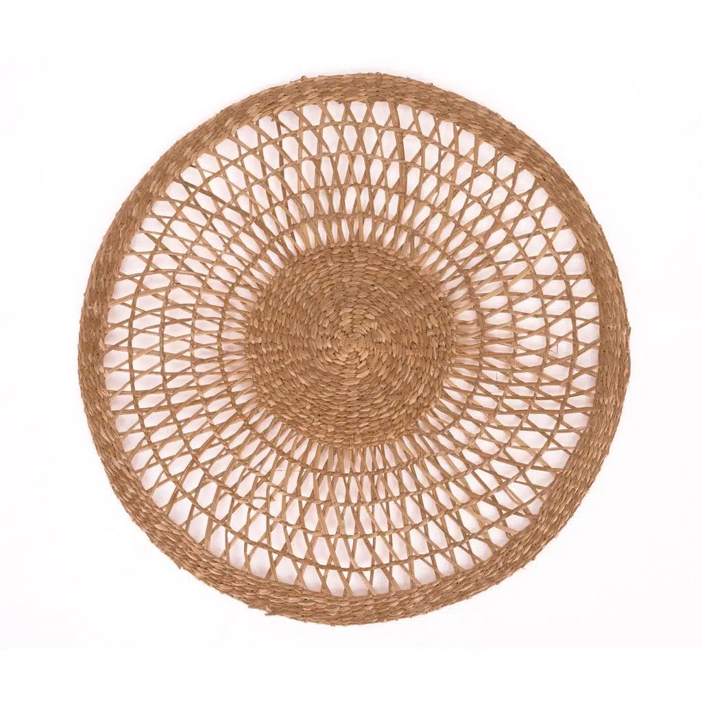 OLS43 ASTER DENİZ SAZI 36 CM DEKOR